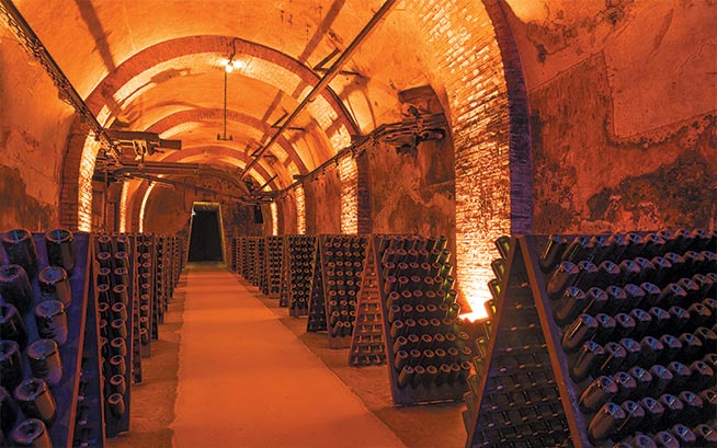 champagne cellar